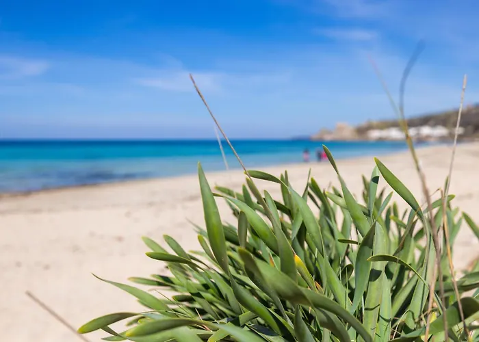 Dimora Costa Del Sole 3* Gallipoli